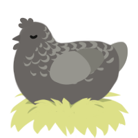 A grey and ash chicken with a half-lace pattern