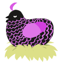A sable and orchid chicken with a lace pattern