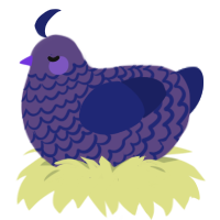 A overcast and navy chicken with a lace pattern
