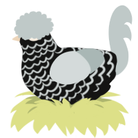 A black and silver chicken with a lace pattern