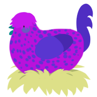 Iris, a amethyst and indigo chicken with a speckle pattern