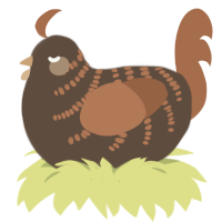 A bark and brown chicken with a half-bar pattern