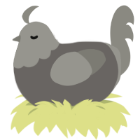 A grey and ash chicken with a head pattern
