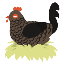A bark and sable chicken with a lace pattern