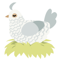 A white and silver chicken with a lace pattern