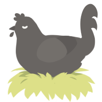 A grey chicken