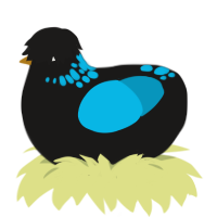 A sable and cerulean chicken with a neck-speckle pattern