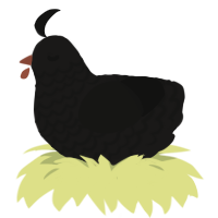 A sable and black chicken with a lace pattern