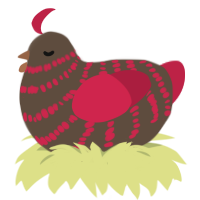 A bark and crimson chicken with a bar pattern