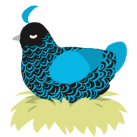 A sable and cerulean chicken with a double-lace pattern