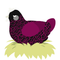 A black and wine chicken with a double-lace pattern