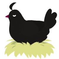 Burned Rock, a sable chicken with a half-lace pattern