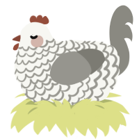 A white and ash chicken with a lace pattern