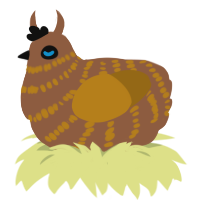 A brown and ochre chicken with a bar pattern
