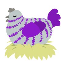 A silver and violet chicken with a bar pattern