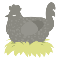 A ash chicken with a speckle pattern