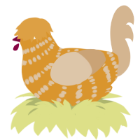 A orange and beige chicken with a bar pattern