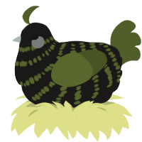 A sable and olive chicken with a bar pattern