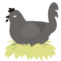A grey chicken