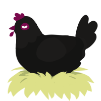 A black and sable chicken with a head pattern