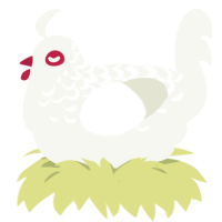 Redeye, a white chicken with a half-lace pattern
