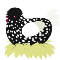 A black and white chicken with a speckle pattern