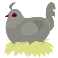 (unnamed), a ash chicken with a head pattern