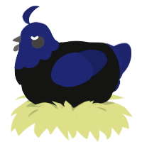 2, a black and navy chicken with a head pattern