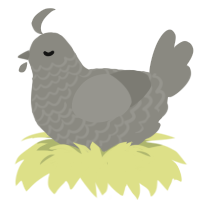 A ash chicken with a lace pattern