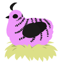 A lavender and sable chicken with a half-bar pattern