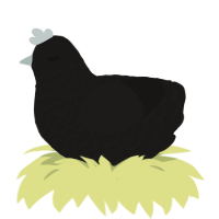 A sable chicken with a lace pattern