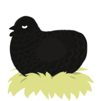 PLACEHOLDER, a black and sable chicken with a lace pattern