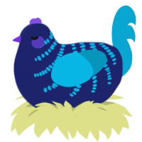 (unnamed), a navy and cerulean chicken with a half-bar pattern