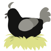 A black and ash chicken