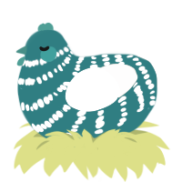 A teal and cream chicken with a bar pattern