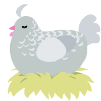 (unnamed), a silver and mist chicken with a half-lace pattern