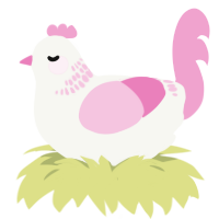 Chiclet, a white and pink chicken with a neck-band pattern