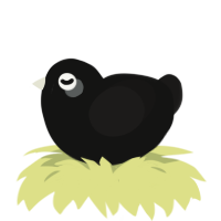 Toodles, a black and sable chicken