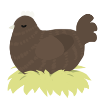 Branch, a bark chicken with a bar pattern