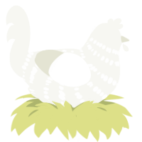 A white chicken with a bar pattern