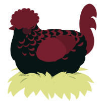 4, a tumblr and maroon chicken with a half-lace pattern