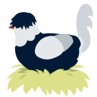 Mr Deadman, a tumblr and mist chicken with a head pattern