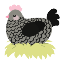 Bollum, a ash and black chicken with a lace pattern