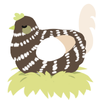 Macchiato, a bark and cream chicken with a bar pattern