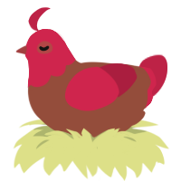 Red Velvet, a russet and crimson chicken with a head pattern