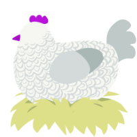 lucy, a white and silver chicken with a double-lace pattern