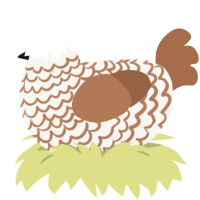 (unnamed), a white and brown chicken with a lace pattern