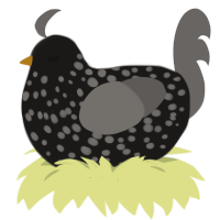 A sable and grey chicken with a speckle pattern