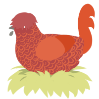 raw, a red and vermilion chicken with a double-lace pattern