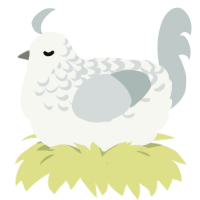 A white and silver chicken with a half-lace pattern